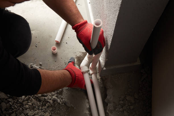 Best Plumbing Repair Near Me  in Arcadia, WI
